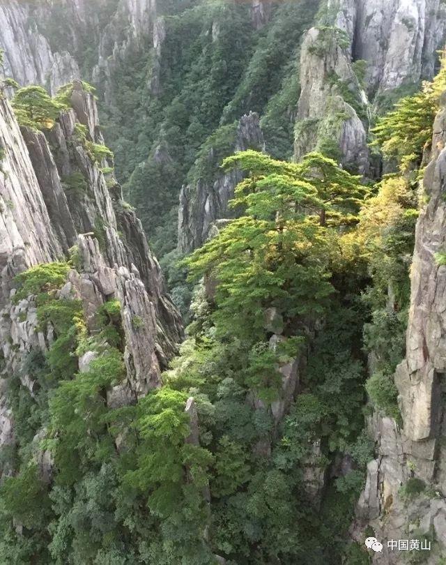 浙江交通集团2024年春运启动仪式在绍兴服务区举行