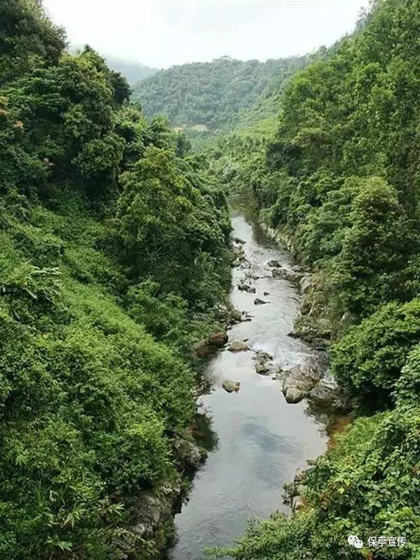 逃离沙漠小镇